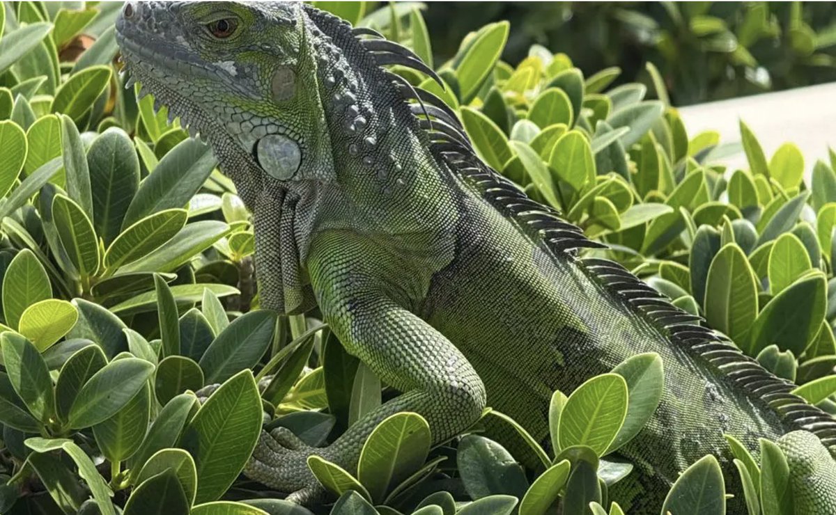 NY Lifestyle Blog tweet media