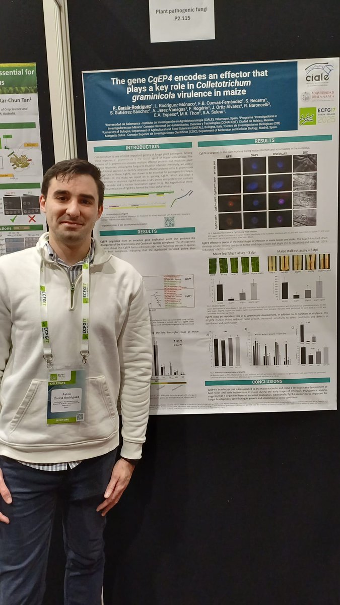 AspergillusLab (@aspergilluslab) on Twitter photo Today it's time for our collaboration with Pablo Garcia Rodriguez <a href="/usal/">Universidad de Salamanca</a>. He presents his work in which the effector CgEP4 plays an important role in the development of maize anthracnose by translocating into the nucleus and nucleolus. Led by <a href="/ssukno/">Serenella A. Sukno</a> and M. Thon #ECFG17 Today it's time for our collaboration with Pablo Garcia Rodriguez <a href="/usal/">Universidad de Salamanca</a>. He presents his work in which the effector CgEP4 plays an important role in the development of maize anthracnose by translocating into the nucleus and nucleolus. Led by <a href="/ssukno/">Serenella A. Sukno</a> and M. Thon #ECFG17