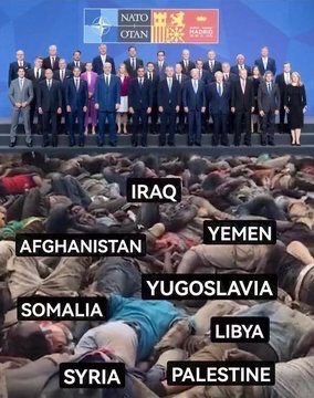 jacksonhinklle's tweet image. NATO is a terrorist organization.