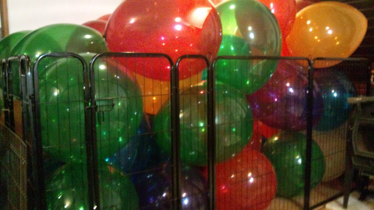 #1番興奮した風船写真