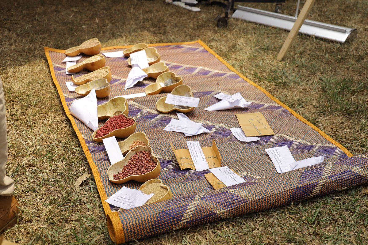 Under the Uganda Refugee Resilience Initiative (URRI), <a href="/URRI_Danida/">Uganda Refugee Resilience Initiative (URRI)</a>, UGANET is committed to ensuring access to justice and gender equality for both refugees and host communities. Through strategic partnerships, we will: