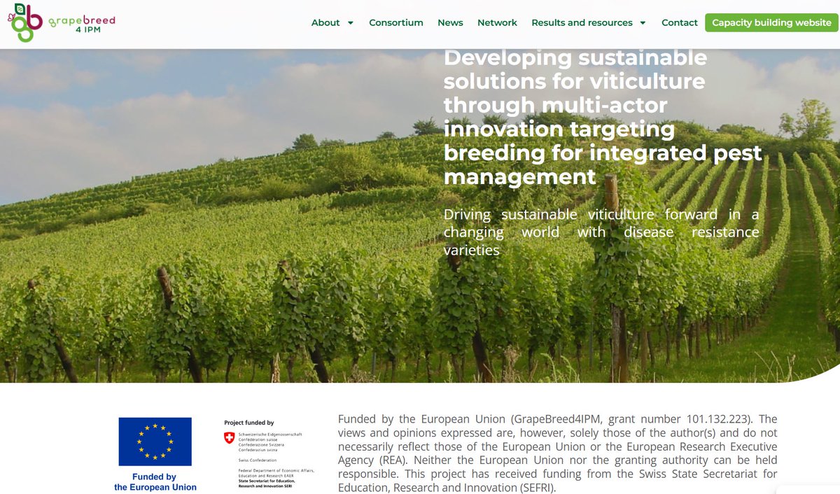 GrapeBreed4IPM (@grapebreed4ipm) on Twitter photo The website of the <a href="/GrapeBreed4IPM/">GrapeBreed4IPM</a> project is now available in 5 languages: grapebreed4ipm.com
Funding from the <a href="/EU_Commission/">European Commission</a> in the framework of the <a href="/HorizonEU/">Horizon Europe 🇪🇺</a> (101132223) and from the Swiss State Secretariat for Education, Research and Innovation (SERI) Nr. 24.00152. The website of the <a href="/GrapeBreed4IPM/">GrapeBreed4IPM</a> project is now available in 5 languages: grapebreed4ipm.com
Funding from the <a href="/EU_Commission/">European Commission</a> in the framework of the <a href="/HorizonEU/">Horizon Europe 🇪🇺</a> (101132223) and from the Swiss State Secretariat for Education, Research and Innovation (SERI) Nr. 24.00152.