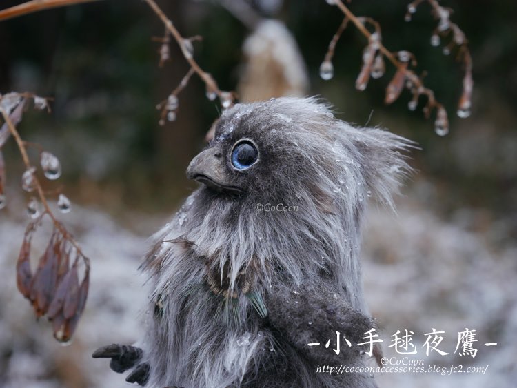 CoCoonharuka's tweet photo. 淡雪のたより❄️🌨️ https://t.co/RPkZQ0Sxd0