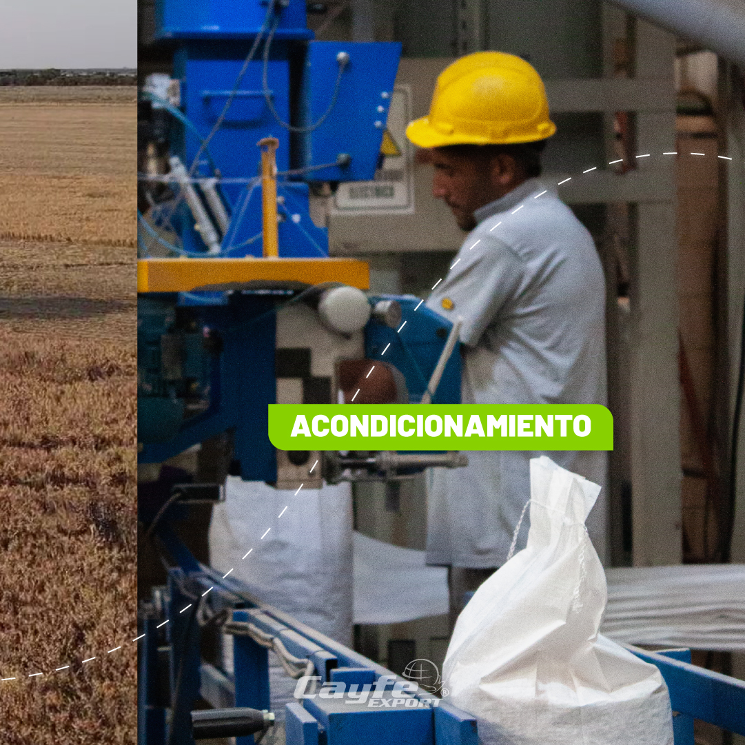 cayfe_export's tweet image. Desde la producción en campo hasta la comercialización y exportación en planta🌾🏭

Nuestra presencia en toda la cadena de procesamiento de los alimentos es un valor agregado que garantiza rigurosa calidad y compromiso con las necesidades específicas de nuestros clientes😄👏🏽
