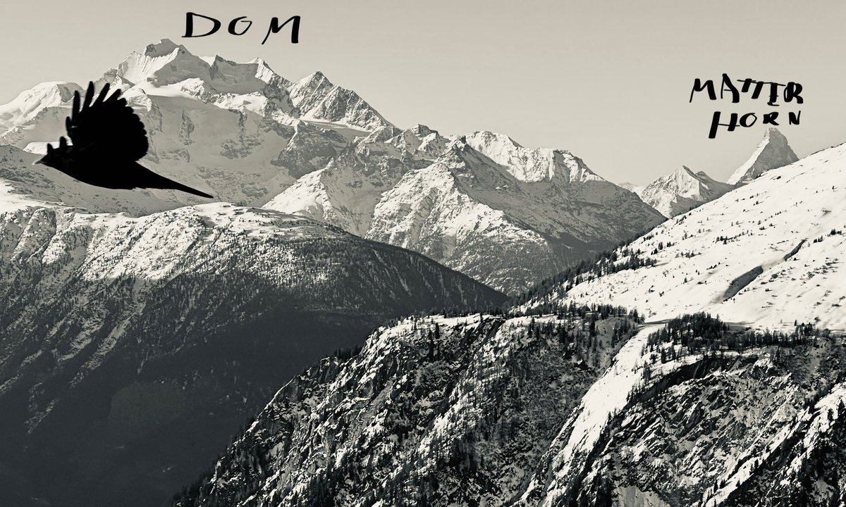 A feast for crows. 

#Matterhorn (4478m) and #Dom (4545m) as seen from Belalp #Valais #Switzerland