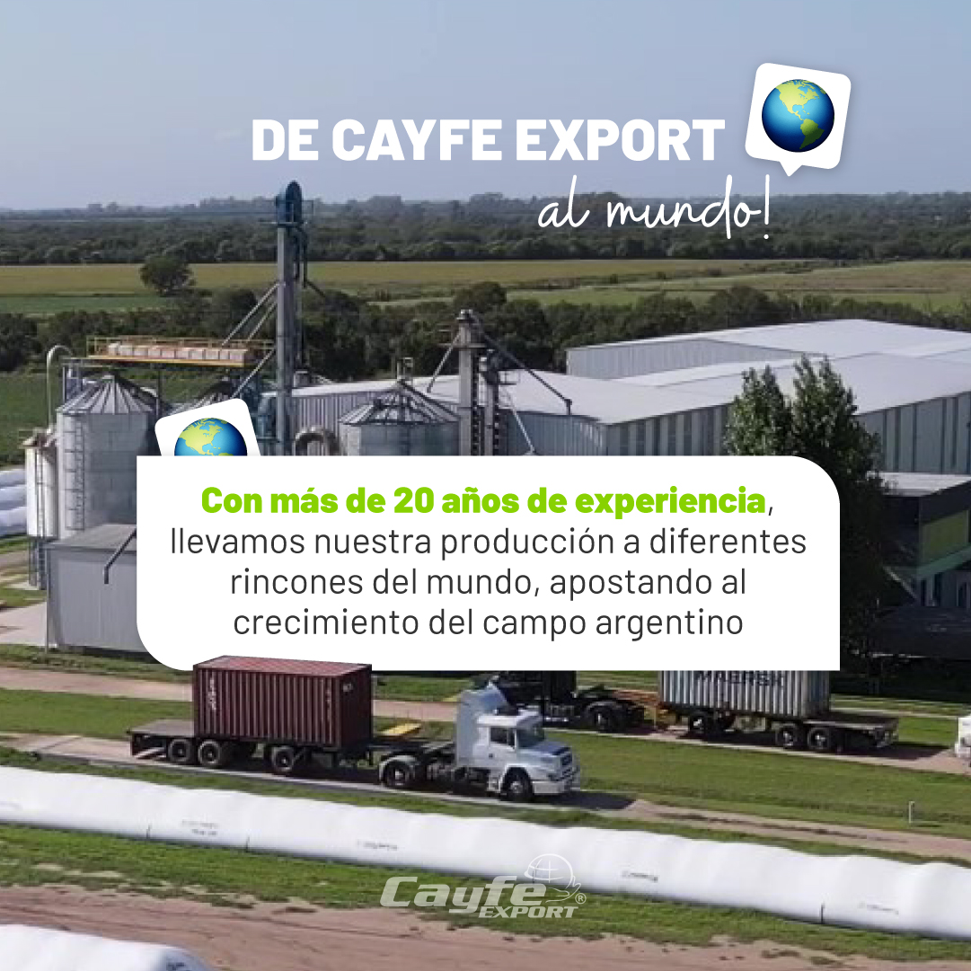 cayfe_export's tweet image. ¿Te interesa comercializar o comprar granos?🌾

Si estás buscando calidad, confianza y experiencia en el comercio de granos, estamos para asesorarte

📲Escribinos al 3525 454056