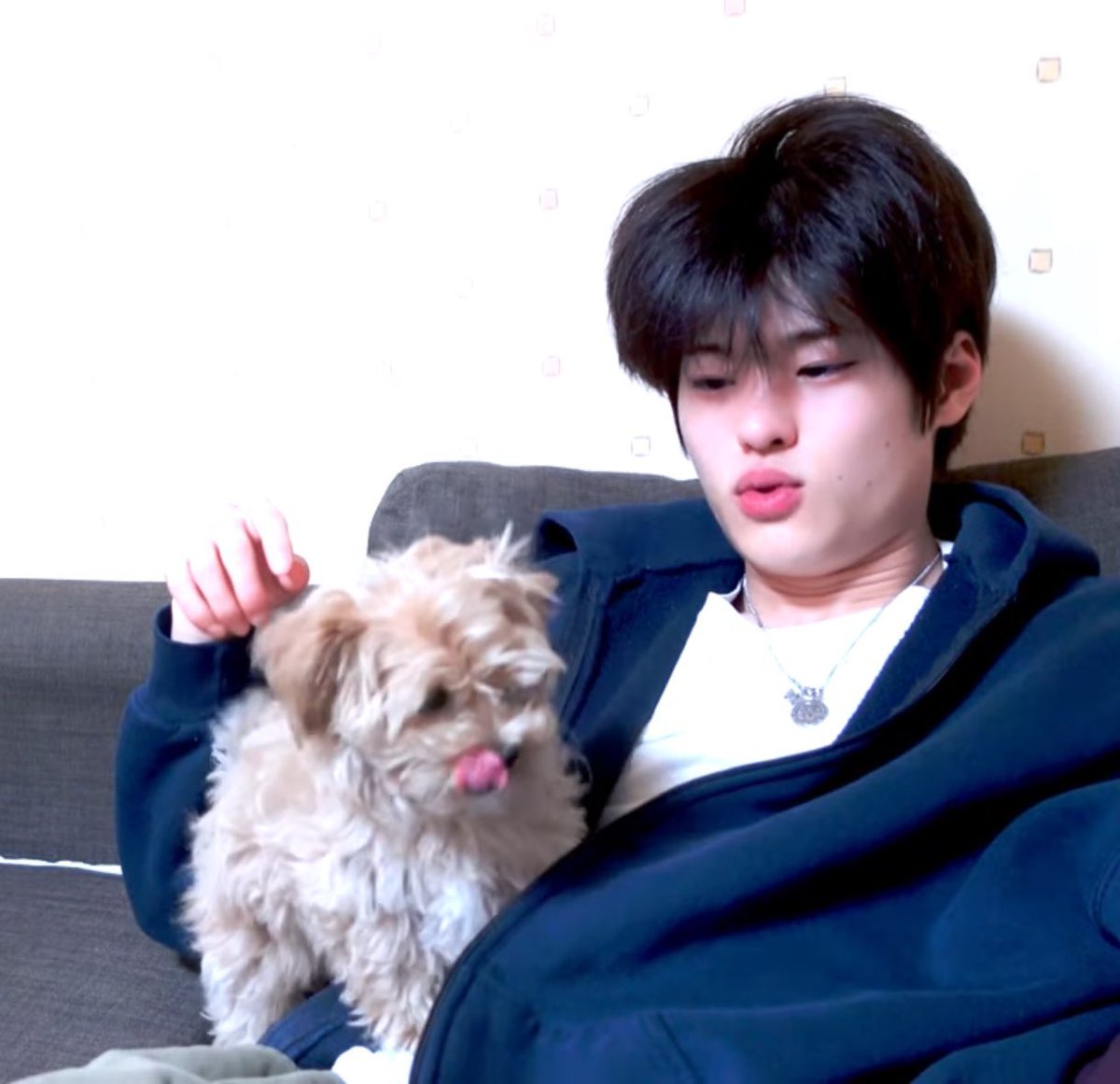 캠 안 에 강아디 두 명있자낭…….우리집촌개또리랑또미랑……🥵🥵