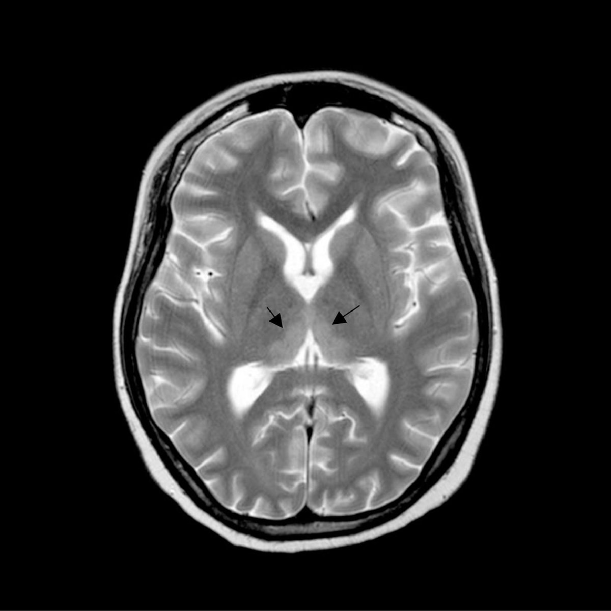 Clinical Medicine (ClinMed) tweet media