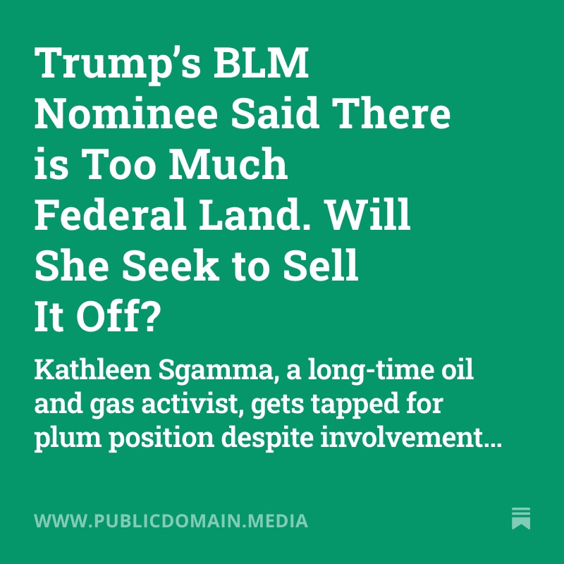 Kathleen Sgamma, who thinks there is too much federal public land, is now President Trump’s choice to lead the federal government's largest land management agency.

new w/ <a href="/JamesCTobias/">Jimmy Tobias</a> 
publicdomain.media/p/trump-blm-no…