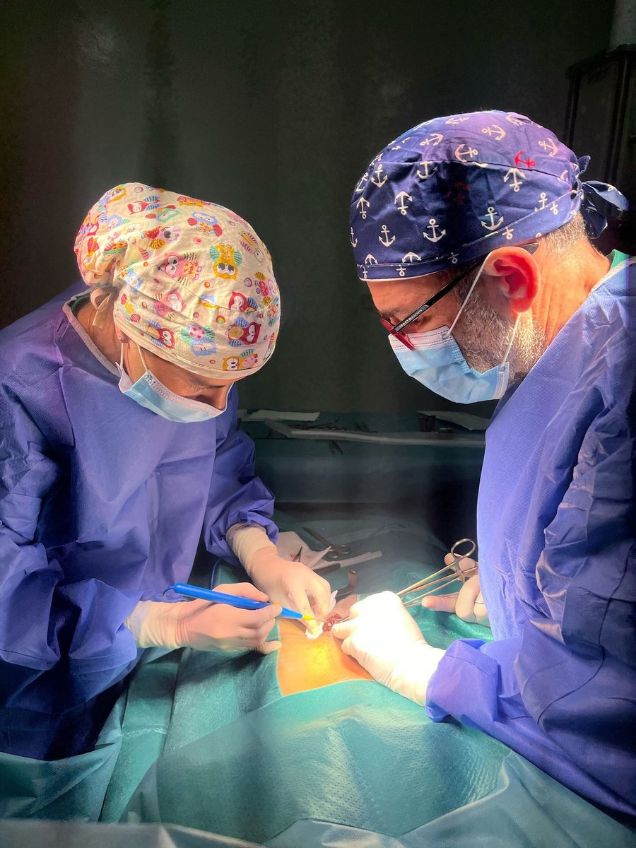 HospitalUVRocio (@hospitaluvrocio) on Twitter photo 😍🌍 Nuestro equipo de cooperantes de <a href="/CirugiaHUVR/">CirugíaGeneralHUVR</a> y <a href="/UronefroHUVR/">@Uro-NefroHUVR</a> desplazado a Mauritania👩🏻⚕️🏥 ha atendido a más de 300 personas junto a profesionales de otros hospitales españoles y en colaboración con la ONG HumanCoop.
#SomosHUVR #HUVRxelmundo 😍🌍 Nuestro equipo de cooperantes de <a href="/CirugiaHUVR/">CirugíaGeneralHUVR</a> y <a href="/UronefroHUVR/">@Uro-NefroHUVR</a> desplazado a Mauritania👩🏻⚕️🏥 ha atendido a más de 300 personas junto a profesionales de otros hospitales españoles y en colaboración con la ONG HumanCoop.
#SomosHUVR #HUVRxelmundo