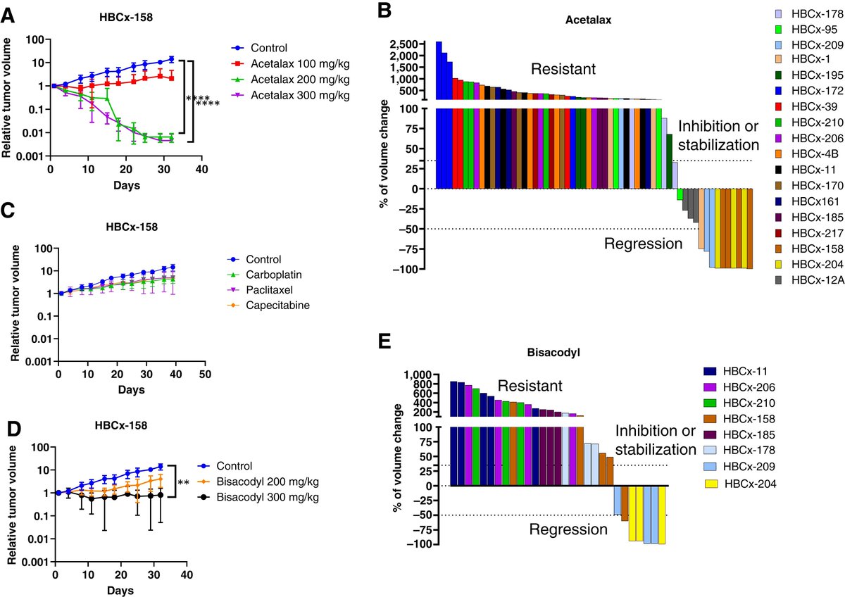 Anti-cancer effect of oxyphenisatin acetate in triple-negative breast cancer shown in patient-derived xenografts; TRPM4 as biomarker bit.ly/43gimEj