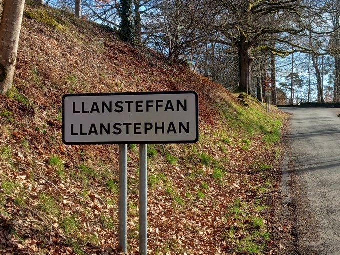 elwyn vaughan tweet media