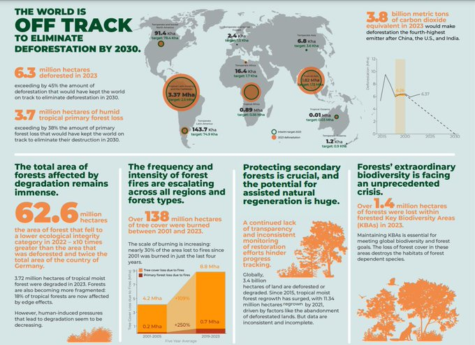 UN Biodiversity (@unbiodiversity) on Twitter photo ❓Is the world on track to restore 30% of degraded & deforested landscapes by 2030?
This chapter tracks progress toward the #KMGBF target of restoring 30% of degraded and deforested landscapes.
Download a free copy: bit.ly/4fjRW7Kvia
via <a href="/CIFOR_ICRAF/">CIFOR-ICRAF</a> ❓Is the world on track to restore 30% of degraded & deforested landscapes by 2030?
This chapter tracks progress toward the #KMGBF target of restoring 30% of degraded and deforested landscapes.
Download a free copy: bit.ly/4fjRW7Kvia
via <a href="/CIFOR_ICRAF/">CIFOR-ICRAF</a>