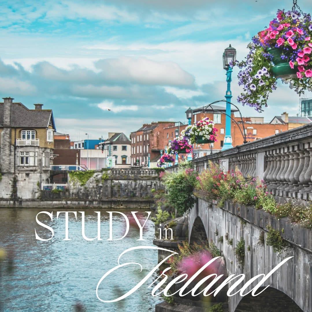 TrueEdWorldwide's tweet photo. There are options at universities in Ireland! 🇮🇪 
1.  Masters Public Health under €15,000? 

2. Post grad dip Public Health  under €10,000! 

3. Postgrad Dip Social Work which accepts 2nd class lower?

Many Bachelor programs too

Send a message, let's get started! https://t.co/nttcFwxvAg