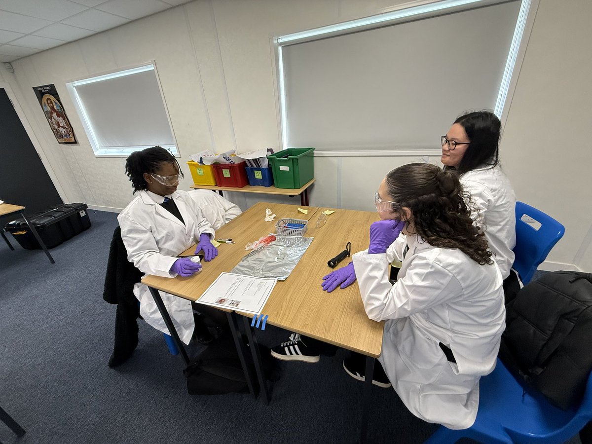 Miss Traynor tweet media