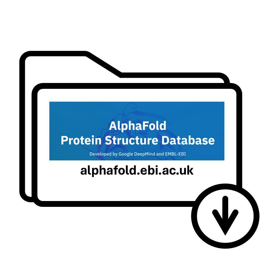 PDBeurope's tweet image. 🧬 Exciting AlphaFold DB updates:

✅ Bulk downloads – Up to 100 structures (PDB, mmCIF / JSON)
✅ pLDDT filtering – Find high-confidence models
✅ Table exports 

📖  More
sciencedirect.com/science/articl…

🔗  Explore
alphafold.ebi.ac.uk

#AlphaFold #Bioinformatics #ProteinStructures
