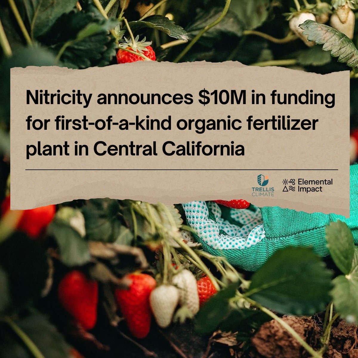 Big news! We’ve secured $10M in funding for first-of-a-kind organic fertilizer plant in Central California! With support from Elemental Impact &amp; Trellis Climate, we’re scaling cost-competitive production for a sustainable future.

Learn more: shorturl.at/4ClzZ

#ClimateTech