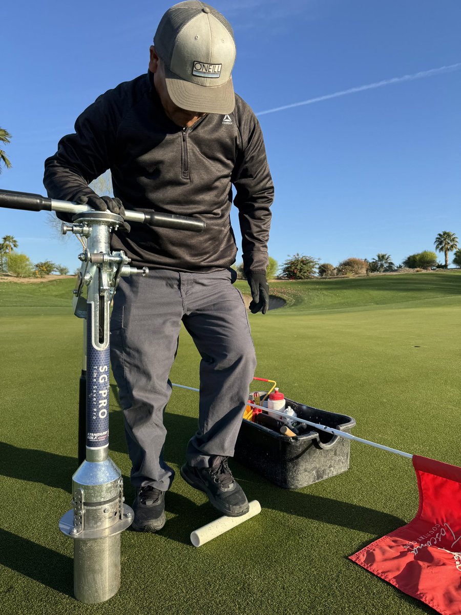 Mornings in the desert do not disappoint.