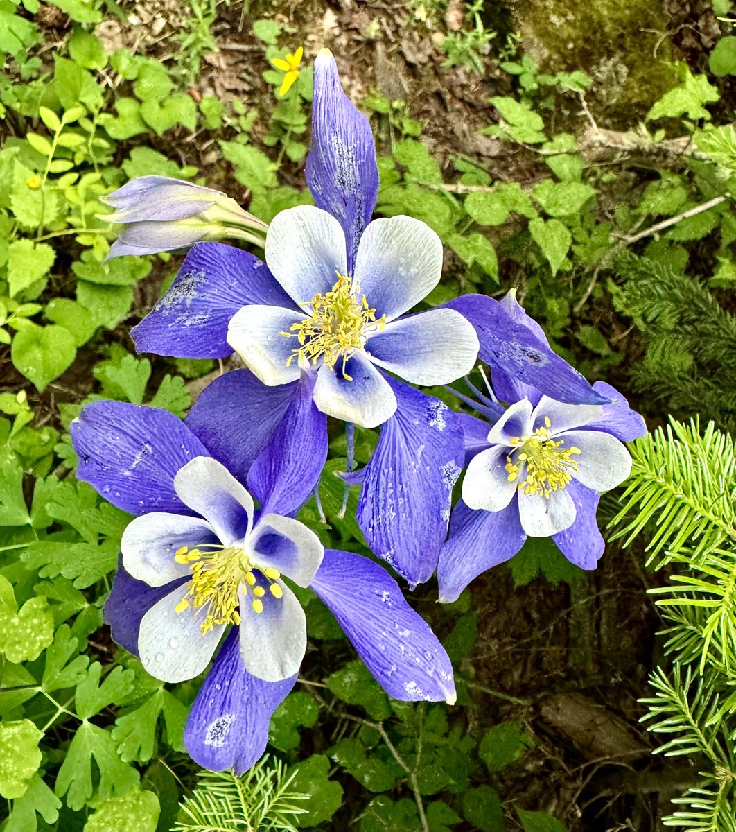 D Miller tweet media