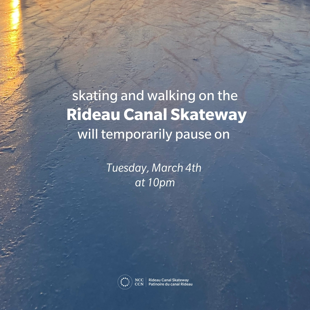 ICE UPDATE | Skating and walking on the Rideau Canal Skateway will be paused at 10pm tonight, Tuesday March 4th, until further notice. 

We hope that this temporary pause combined with the return of colder temperatures at the end of the week will allow us to reopen.

 #OttNews