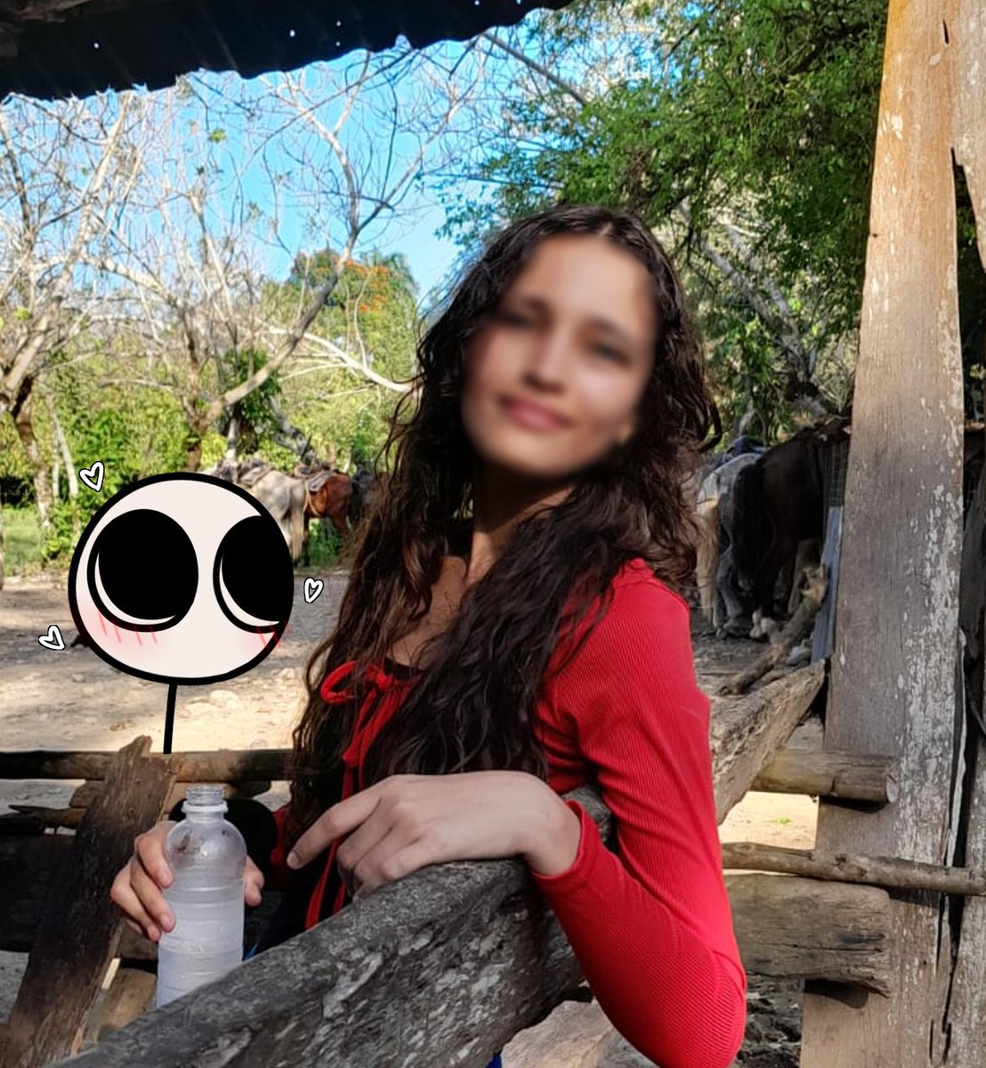 Xiaro tweet media
