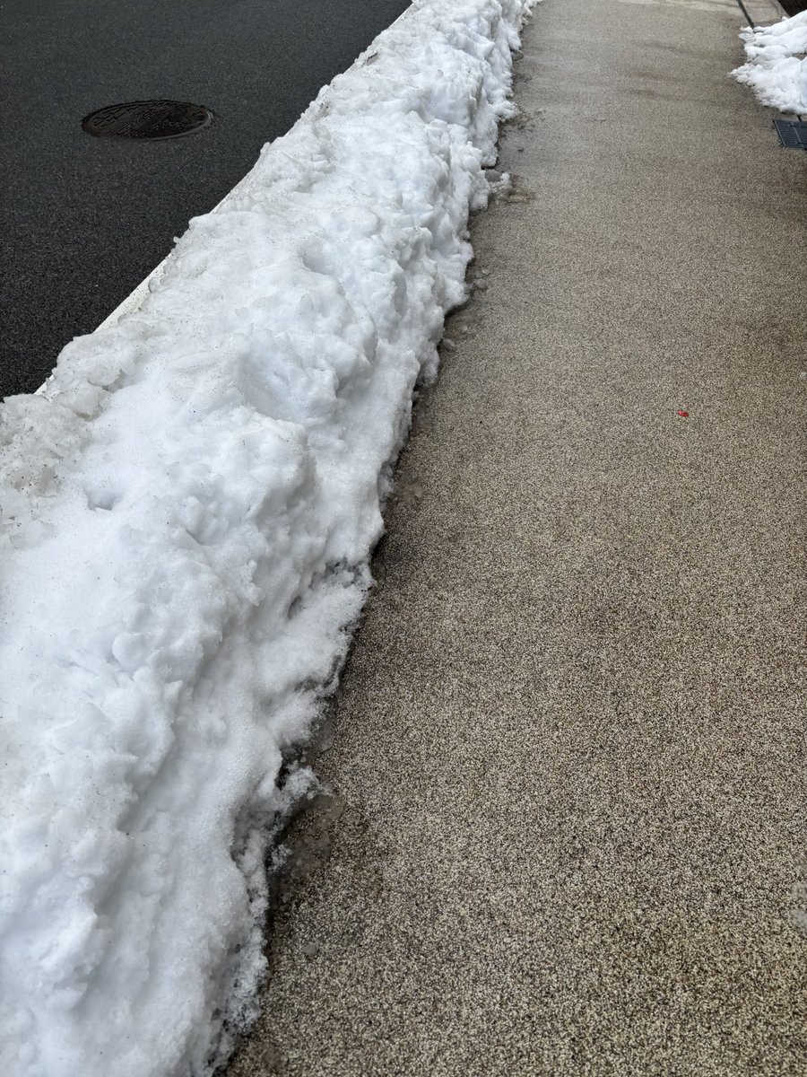 3/2
#日常垢 
すごい雪ですね