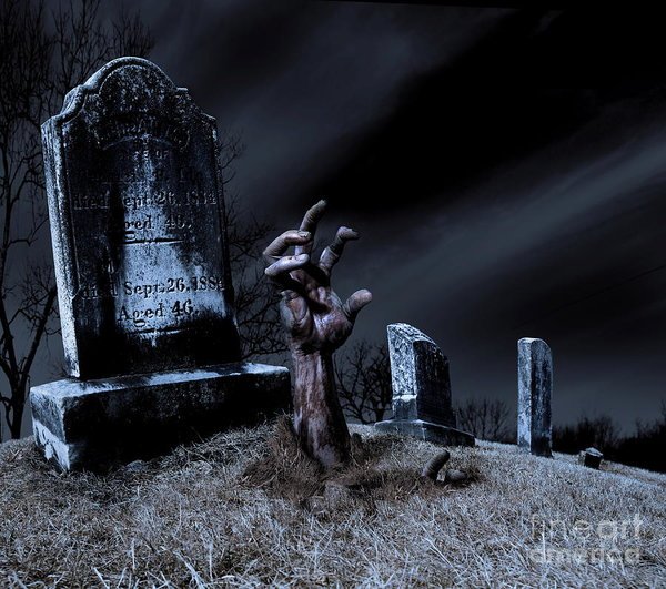 Artod678's tweet image. 