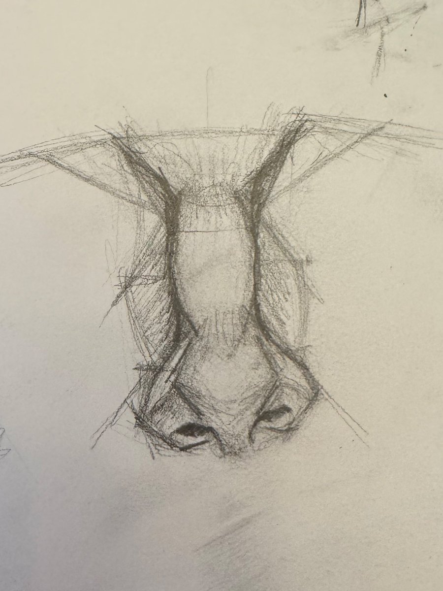 Maybe.Leila tweet media