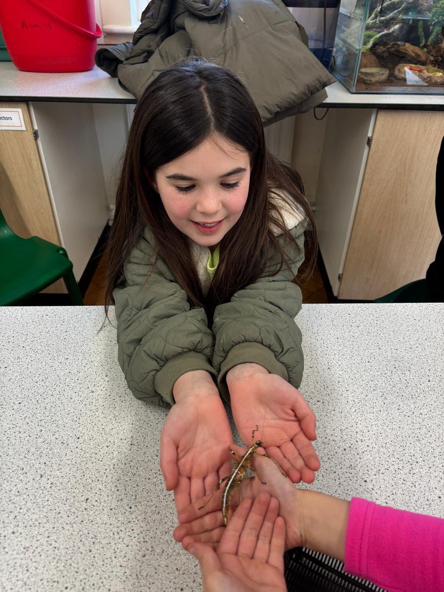 Definitely a highlight of the trip- handling the animals 🐌🦗<a href="/TheHive_Suntrap/">The Hive</a>