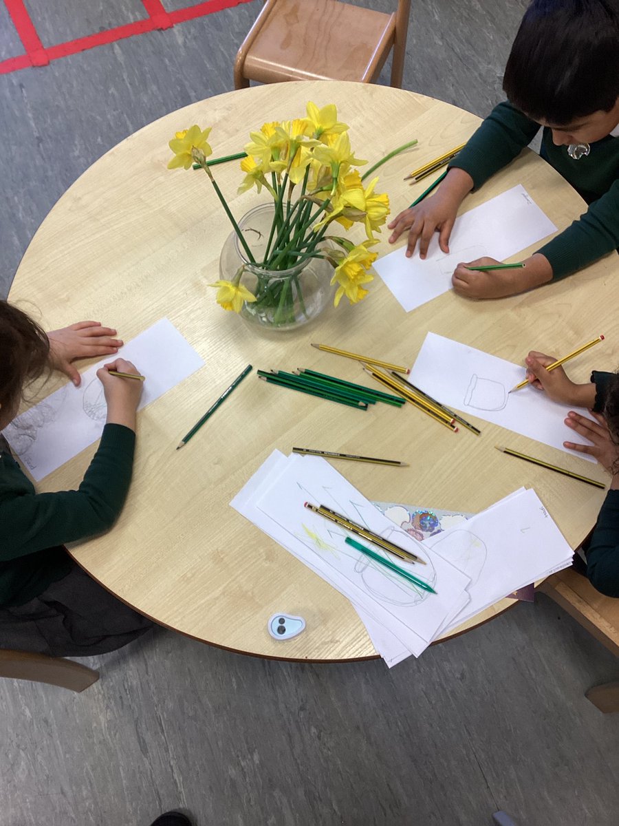 wyndclf's tweet photo. This afternoon the children in RAS enjoyed looking closely at the detail in daffodil flowers. We used lines and pencil shading to create observational drawings. #LeighTrust #WPS #Reception #EAD #observationaldrawing https://t.co/r3wnm4v5hn