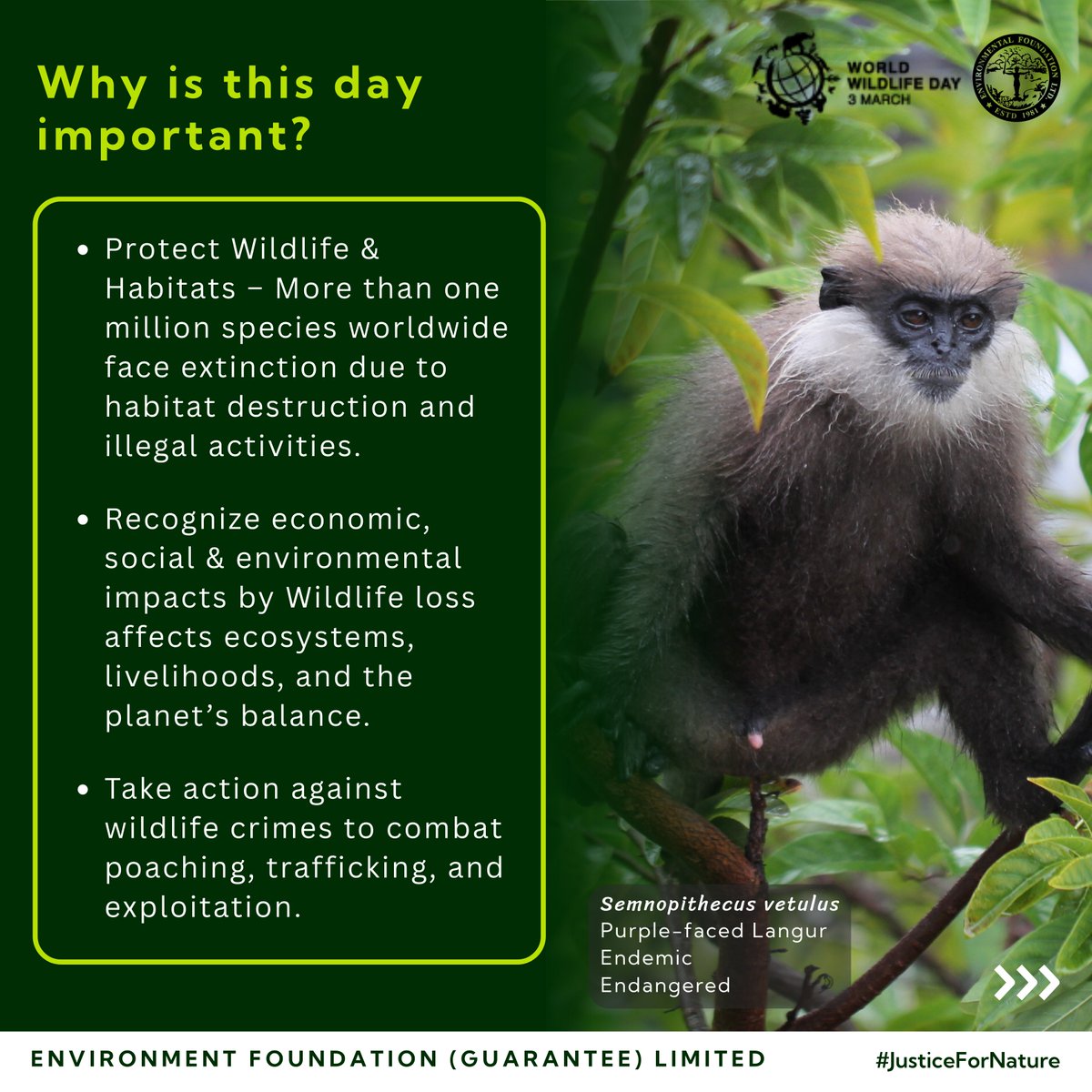EFL_1981's tweet photo. 🌍🐾 Over a million species face extinction—urgent action is needed!

EFL is committed to protecting Sri Lanka’s unique biodiversity through legal advocacy &amp; conservation efforts. Let’s stand for nature!

#WorldWildlifeDay #JusticeForNature https://t.co/6zubQm14U7
