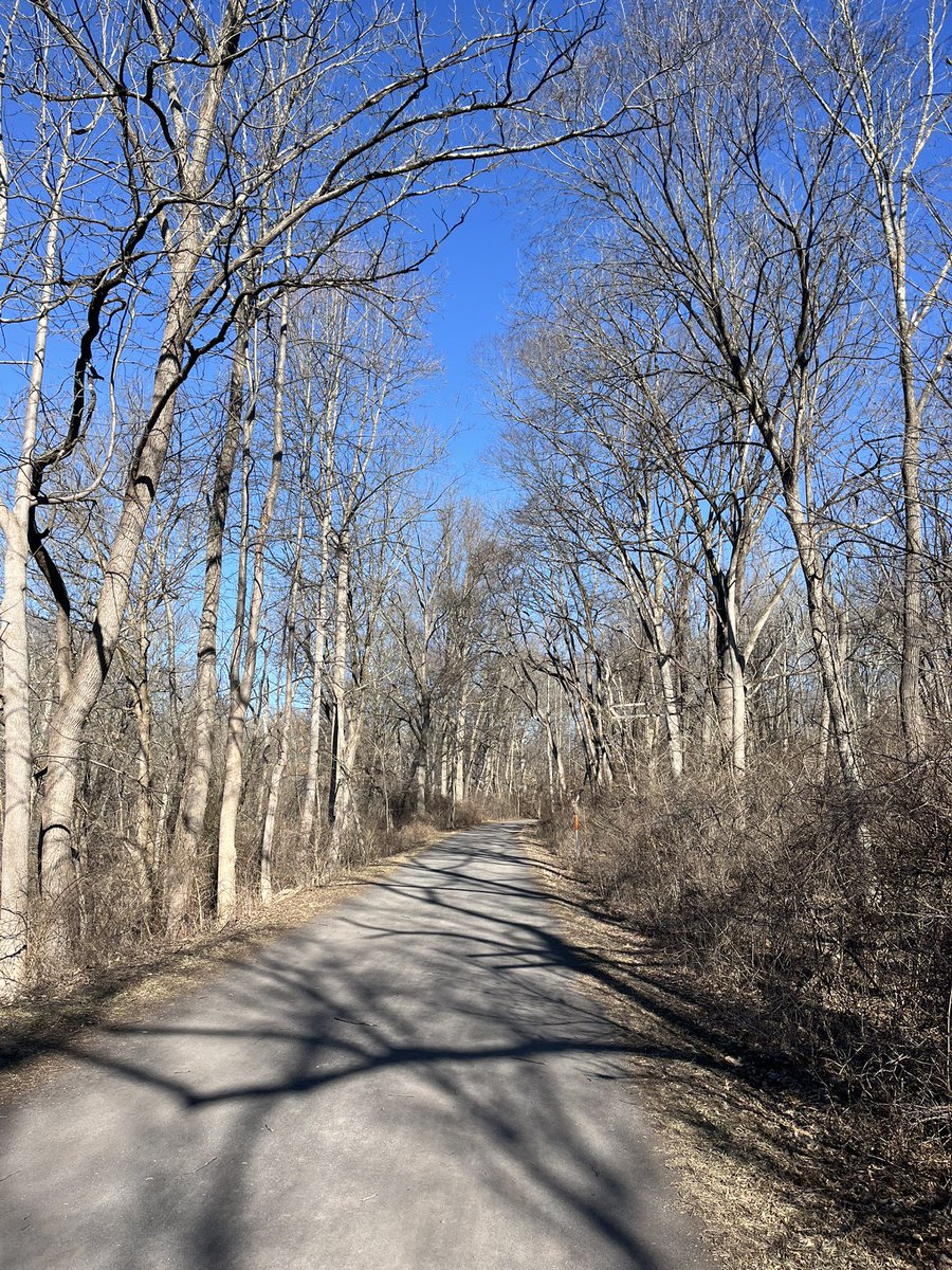 Sunday’s Half Marathon Prep (3/2)

9 mile long run

-1 mile warm up
-8 miles push 

Longest run of the block, and the first time I brought BPN Go Gels out for mid-run fueling — definitely felt the positive effects of getting carbs in 

T-27 days until <a href="/LOVERUNPHILLY/">The LOVE Run</a>
