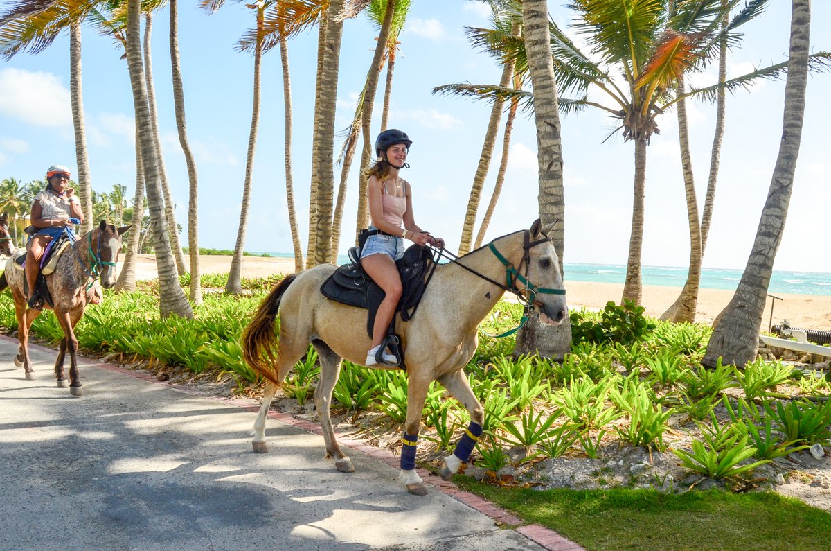 Discover a unique experience where nature and excitement come together in an unforgettable horseback ride. 🌊🐴
