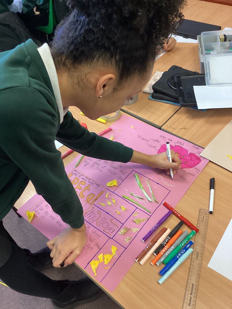 Year6Markeaton's tweet image. #MPSscience 🧠💚 Identifying the male and female parts of a flower, it really was a blooooming brilliant lesson. 🙈