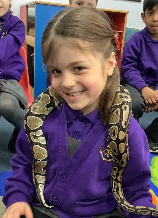 TheVinePrimary's tweet image. Fantastic visit from Lion Learners meeting Monty the Python. #earlyyears #animallearning