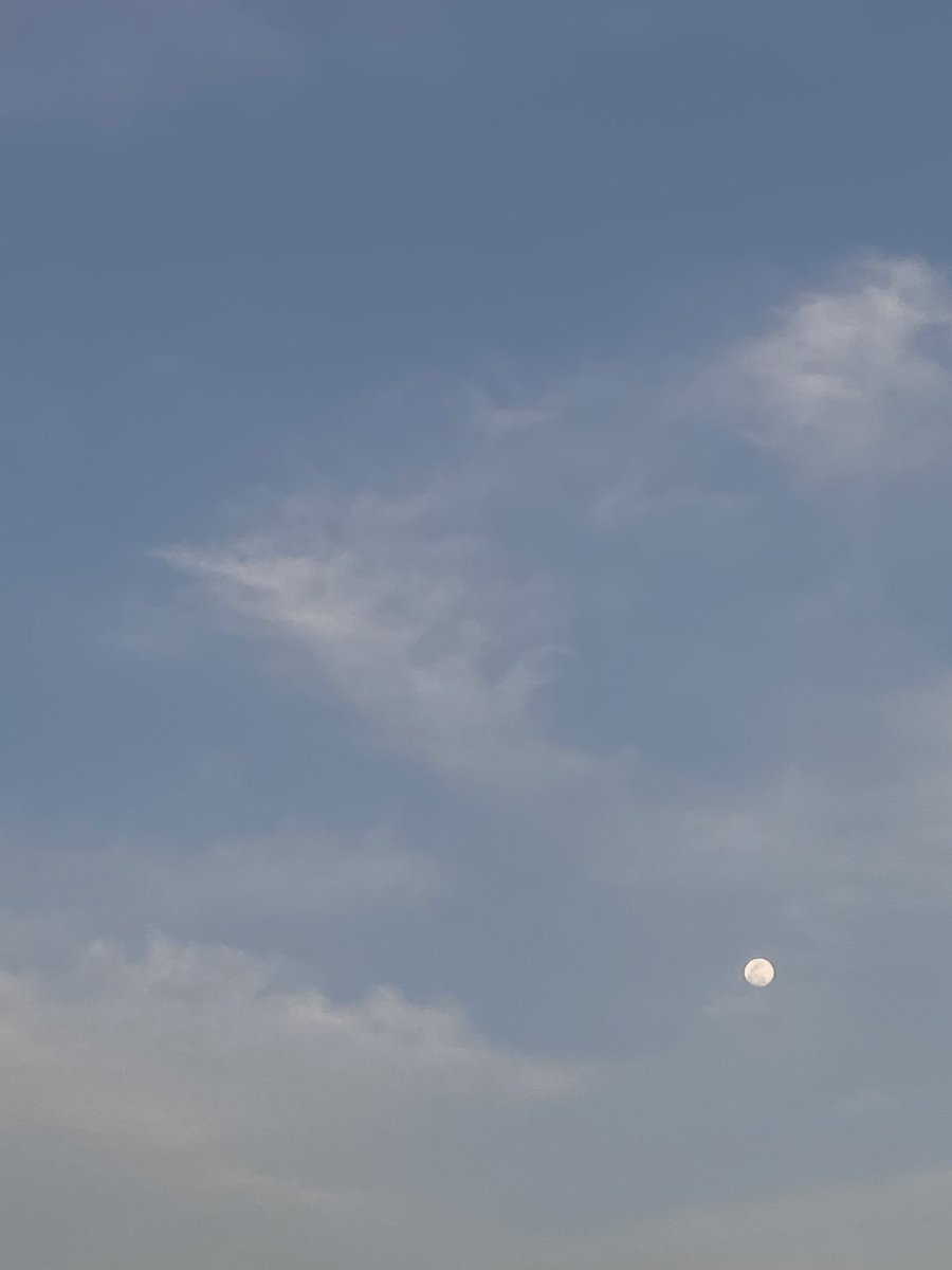 ✨ #SkywithCharlotte