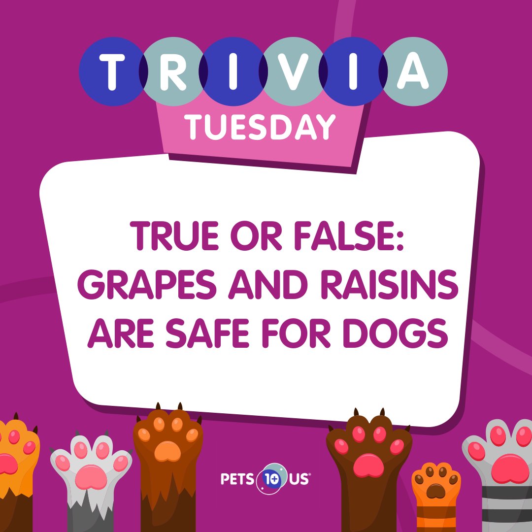 Pets Plus Us (@petsplususins) on Twitter photo #Win a $25 PetSmart gift card! To enter, answer the question, retweet this post and follow <a href="/PetsPlusUsIns/">Pets Plus Us</a> by 11:59PM EST. Open to Canadian & US residents (excluding QC). Ways to enter: bit.ly/3wBFKxO #Win a $25 PetSmart gift card! To enter, answer the question, retweet this post and follow <a href="/PetsPlusUsIns/">Pets Plus Us</a> by 11:59PM EST. Open to Canadian & US residents (excluding QC). Ways to enter: bit.ly/3wBFKxO