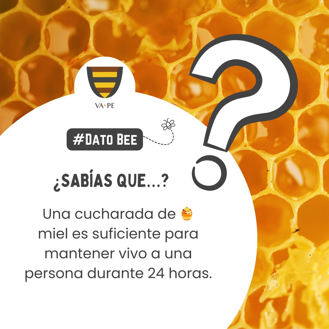 sv_vape's tweet photo. 🐝 Un superalimento en cada cucharada 🍯

¡Nutrición y energía natural con miel VA•PE!

📞 Pedidos por medio de WhatsApp al +503 2248 7400 o al +503 7786 8089.
.
.
#Miel 🍯 #EnergíaPura 🐝 #NutriciónNatural #VidaDulce #MielSaludable 💛 https://t.co/XHiFgymHSH