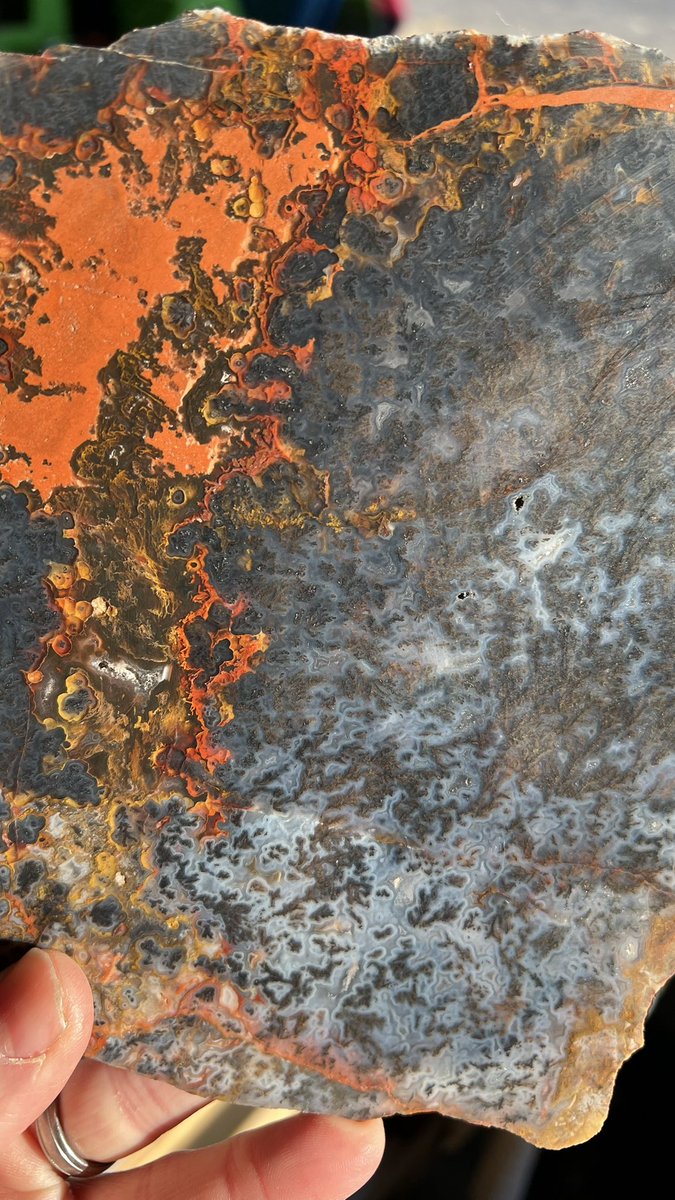MetaMoosehead's tweet photo. I am still alive. I still make jewelry. I still think Elunny Muskox is horrific. Ignoring that, here are some beautiful rocks. More below. https://t.co/qYTHx17578