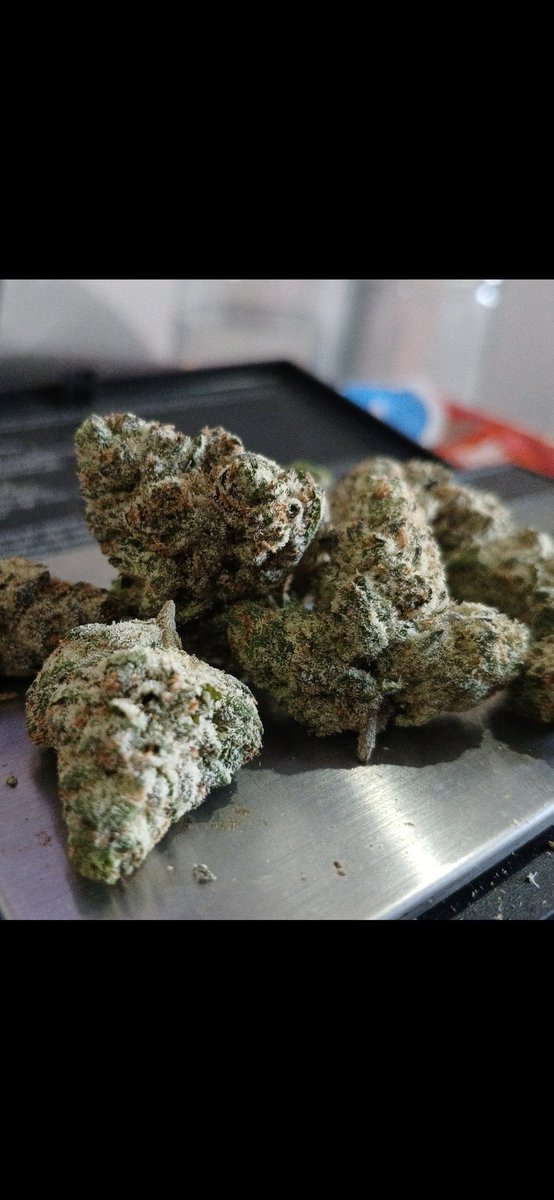 Floatin101's tweet image. Today&apos;s #Strain Review is #Pave by @ElectraLeaf. My 1st hit a clean zesty floral flavor/aroma very fresh scent and smell. The high is not strong with this strain! It&apos;s more of a head high to this, it has a nice focus feel to it but it&apos;s not strong ok at best #Weed #Marijuana #NYC