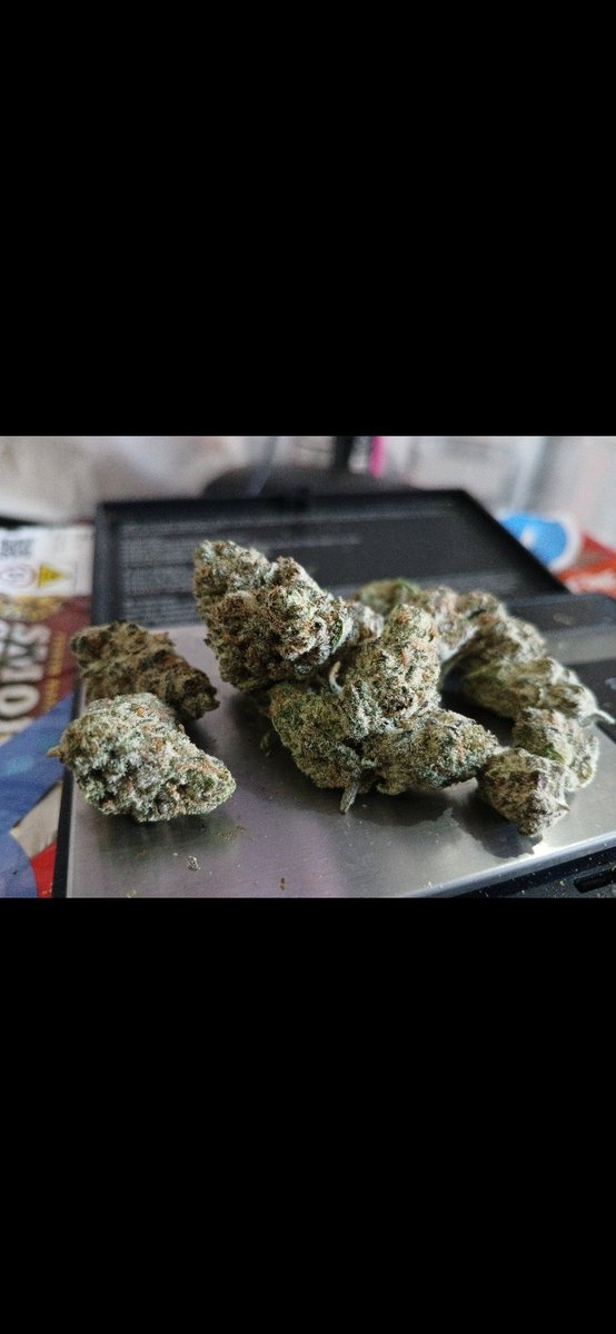 Floatin101's tweet image. Today&apos;s #Strain Review is #Pave by @ElectraLeaf. My 1st hit a clean zesty floral flavor/aroma very fresh scent and smell. The high is not strong with this strain! It&apos;s more of a head high to this, it has a nice focus feel to it but it&apos;s not strong ok at best #Weed #Marijuana #NYC