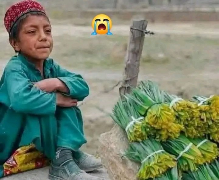 له ځینو خلکو څخه بغیرله کوم ضرورته سودا اخلئ
😰😐