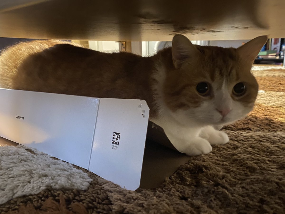 bi raat yaptırmadın icin ağzına sıçim sıçim sıçim