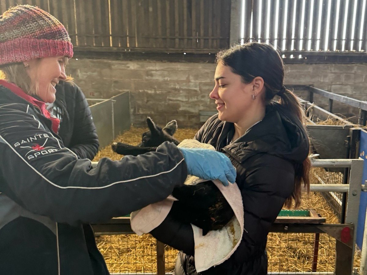 Syracuse University College of Arts & Sciences (@suartsciences) on Twitter photo Meet Maggie Sardino ’23, an A&S alumna helping to teach environmental storytelling at <a href="/syracuseulondon/">Syracuse University London</a>, and learn how A&S students and alumni like her are making a difference all around the world 🌍
➡️ go.syr.edu/as/MaggieSardi… Meet Maggie Sardino ’23, an A&S alumna helping to teach environmental storytelling at <a href="/syracuseulondon/">Syracuse University London</a>, and learn how A&S students and alumni like her are making a difference all around the world 🌍
➡️ go.syr.edu/as/MaggieSardi…