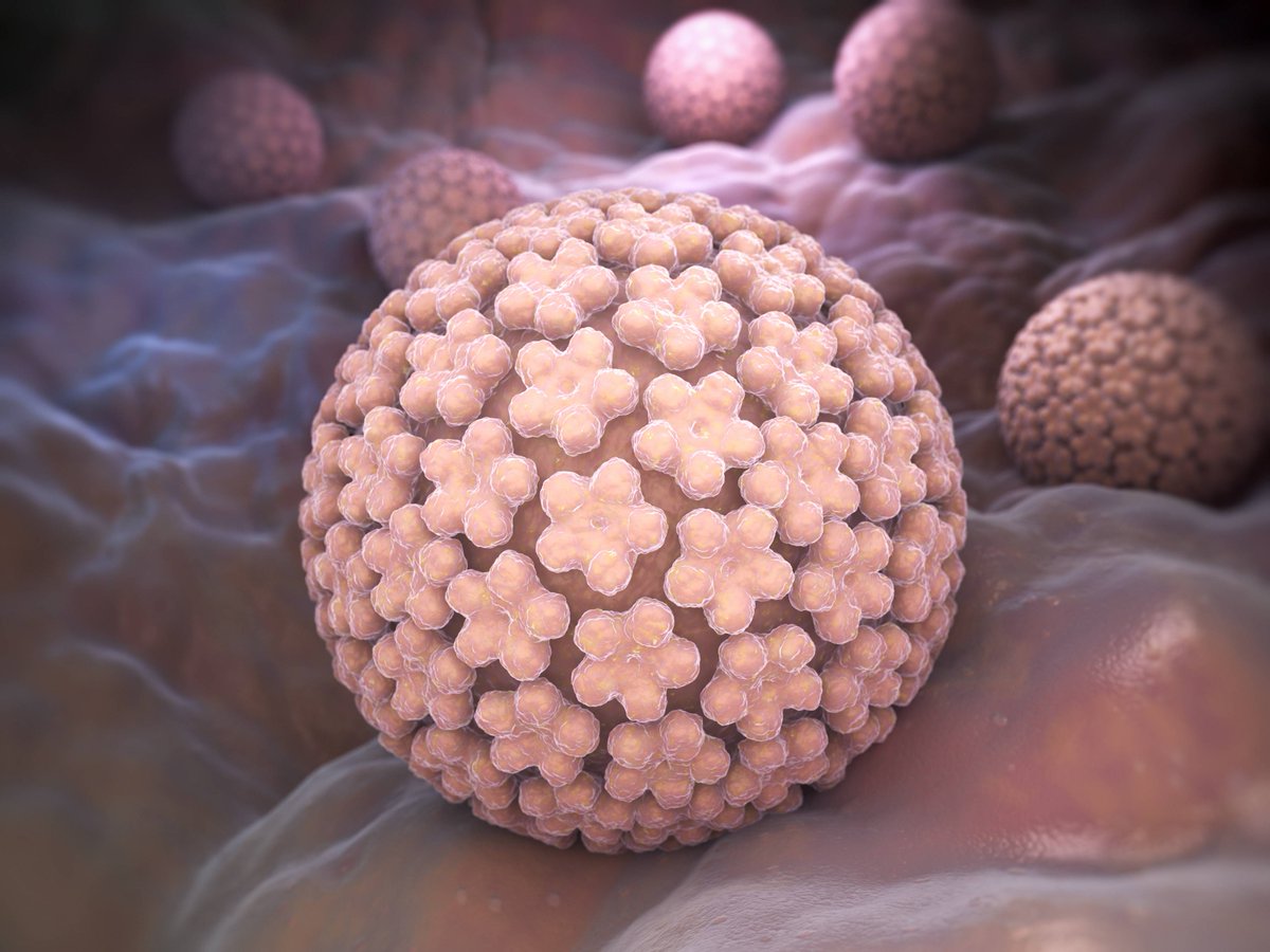 Viruses make us sick, but they can also cause cancer. On #HPVawarenessday, Wistar celebrates the success of HPV vaccines that have played a key role in reducing risk of both viral infection and cancer. Learn more about how to protect yourself: bit.ly/3Da5jJW