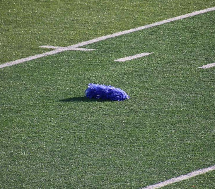 Happy MARCH FORTH (4th)!!

#marchingarts #marchingband #plumelife #marchforth