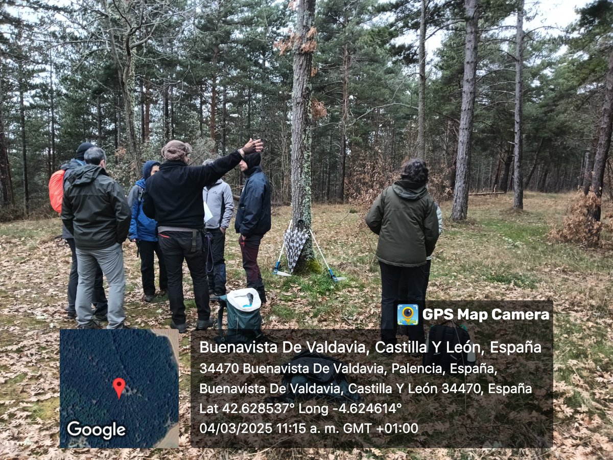 Proyecto_BMPalencia (@proy_bmpalencia) on Twitter photo 📢🌿 ¡Ya han comenzado las formaciones en el monte!
Ahora, ¡vamos a por la segunda edición! 📅 El 24 de marzo tienes una nueva oportunidad
🙋♀️ ¡Mujeres del territorio, os animamos a participar!
¡No pierdas esta oportunidad!
<a href="/FBiodiversidad/">Fundación Biodiversidad</a> #ProyectosPRTR #PlanDeRecuperación 📢🌿 ¡Ya han comenzado las formaciones en el monte!
Ahora, ¡vamos a por la segunda edición! 📅 El 24 de marzo tienes una nueva oportunidad
🙋♀️ ¡Mujeres del territorio, os animamos a participar!
¡No pierdas esta oportunidad!
<a href="/FBiodiversidad/">Fundación Biodiversidad</a> #ProyectosPRTR #PlanDeRecuperación
