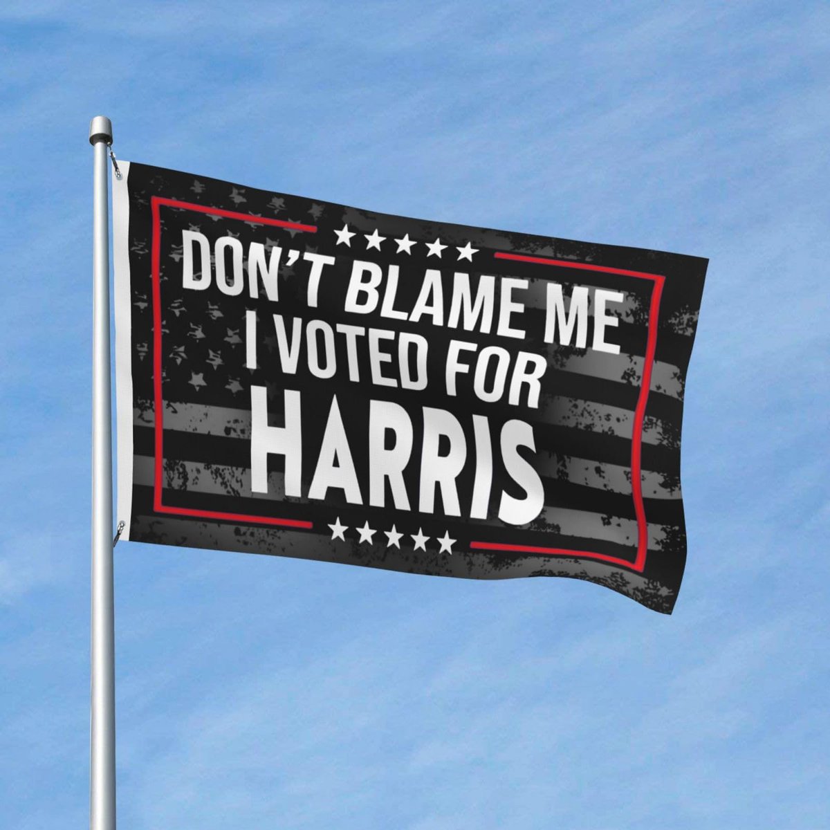 AesPolitics1's tweet image. Amen!🙌