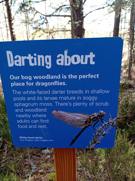 BDS Scotland tweet media