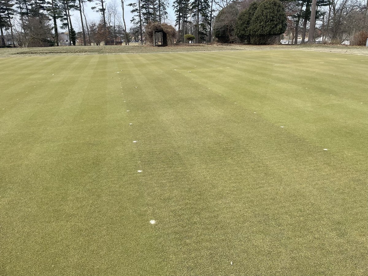 Some differences in green up along with measuring for HORTTECH2250 today